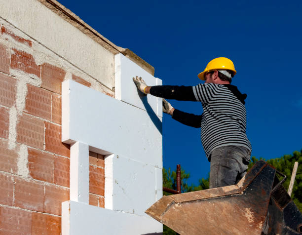 Best Local Insulation Services  in Wilder, VT