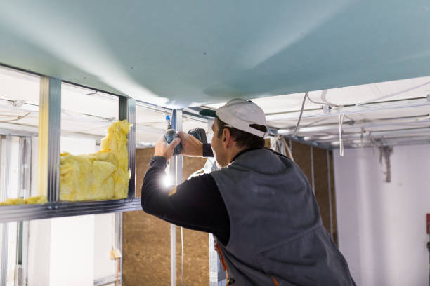 Best Home Insulation Services  in Wilder, VT