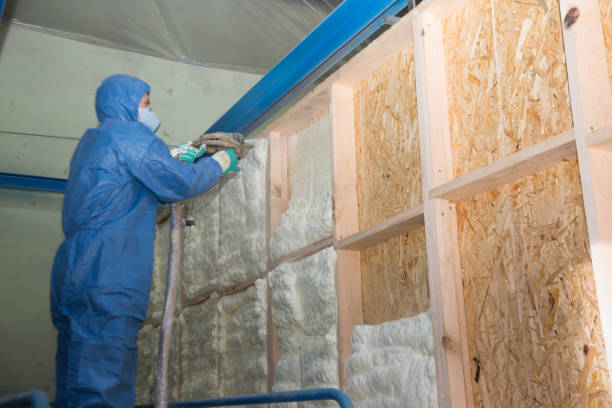 Best Energy-efficient Insulation  in Wilder, VT