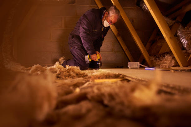 Best Insulation Removal  in Wilder, VT